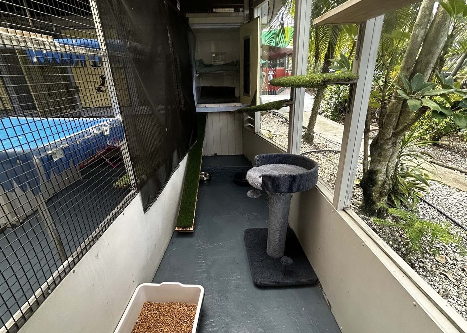 Modest room